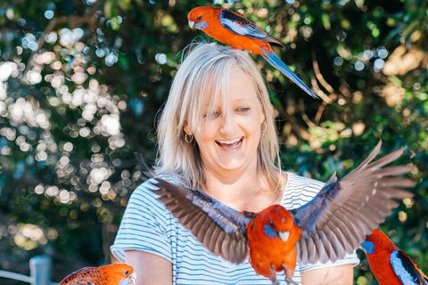 Aquaduck & Your Choice Of Gold Coast Rainforest Tour - Port Augusta Accommodation 5