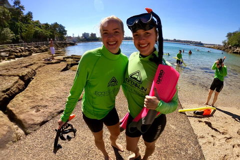 Manly Snorkel Trip And Nature Walk With Local Guide - Port Augusta Accommodation 1