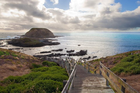Healesville Sanctuary And Phillip Island Wildlife Bus Tour - Port Augusta Accommodation 5