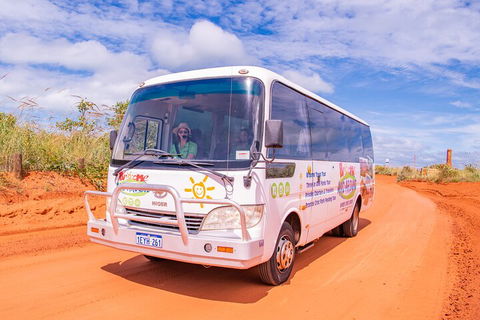 Malcolm Douglas Crocodile Park Tour Including Transportation - Port Augusta Accommodation 3