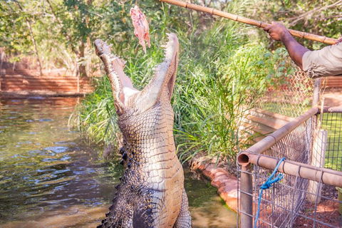 Malcolm Douglas Crocodile Park Tour Including Transportation - Port Augusta Accommodation 5