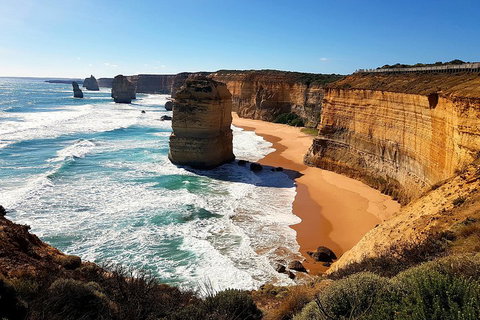 Helicopter Flight + Fine Dining Private Luxury Great Ocean Road Tour - Port Augusta Accommodation 4