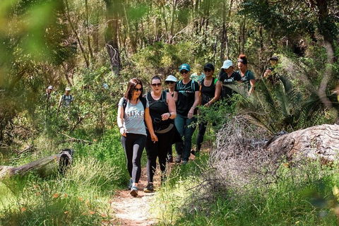 Half-Day Yanchep Ghost House Wilderness Guided Hike Tour - Port Augusta Accommodation 3