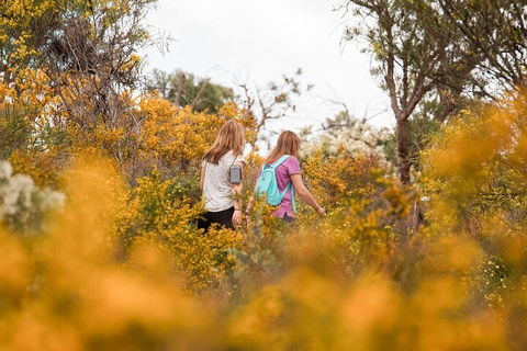 Half-Day Yanchep Ghost House Wilderness Guided Hike Tour - Port Augusta Accommodation 4