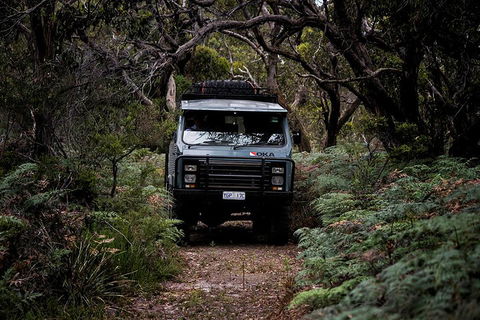 Phillip Island And French Island Wildlife Expedition - Port Augusta Accommodation 4