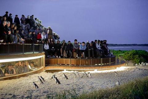 Phillip Island And French Island Wildlife Expedition - Port Augusta Accommodation 5