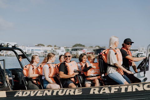 Adventure Whale Watching Tour Mooloolaba - Port Augusta Accommodation 4