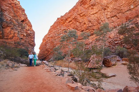 Best Of Alice Springs Full Day Tour - Port Augusta Accommodation 1