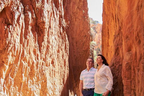 Best Of Alice Springs Full Day Tour - Port Augusta Accommodation 4