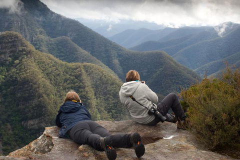 Inside The Greater Blue Mountains World Heritage - A Private Wildlife Safari Overnight - Port Augusta Accommodation 0