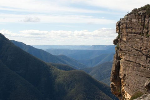 Inside The Greater Blue Mountains World Heritage - A Private Wildlife Safari Overnight - Port Augusta Accommodation 4