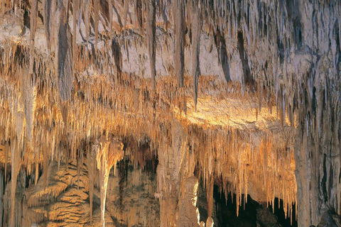 Margaret River, Caves, Wine And Cape Leeuwin Lighthouse Tour From Perth - Port Augusta Accommodation 3