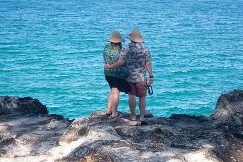North Stradbroke Island Private Tour With Pickup - Port Augusta Accommodation 4