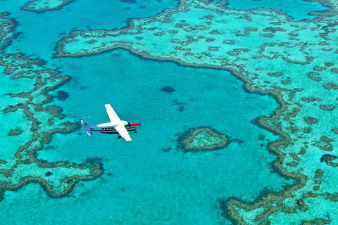 Reef And Island Scenic Flight From Airlie Beach - Port Augusta Accommodation 4