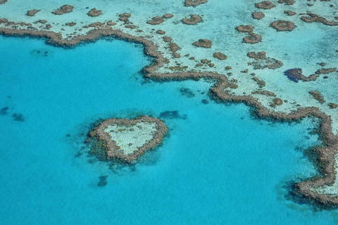 Reef And Island Scenic Flight From Airlie Beach - Port Augusta Accommodation 5