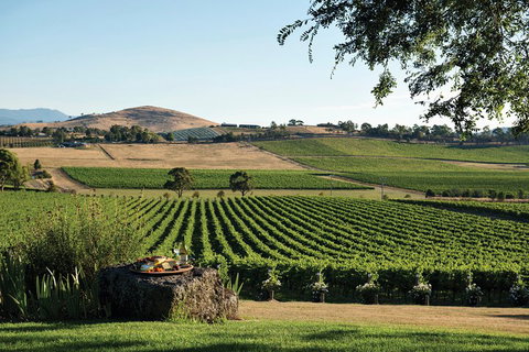 Yarra Valley Premium Tour Inc Lunch And Cheese, Chocolate Fondue At Rochford - Port Augusta Accommodation 1