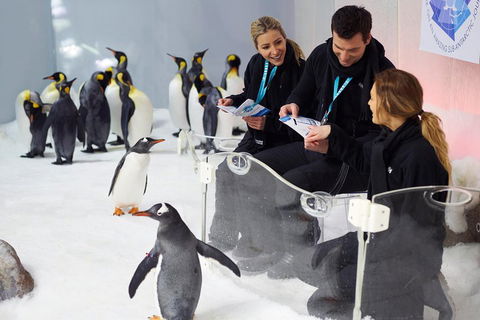 Penguin Passport At SEA LIFE Melbourne Aquarium - Port Augusta Accommodation 5