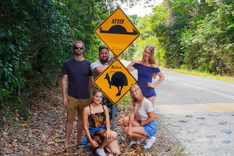 Cape Tribulation, Daintree Rainforest And Wildlife Tour - Port Augusta Accommodation 0