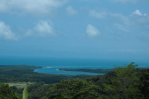 Cape Tribulation, Daintree Rainforest And Wildlife Tour - Port Augusta Accommodation 1