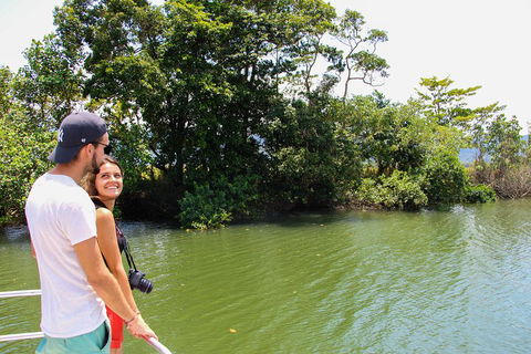 Cape Tribulation, Daintree Rainforest And Wildlife Tour - Port Augusta Accommodation 2