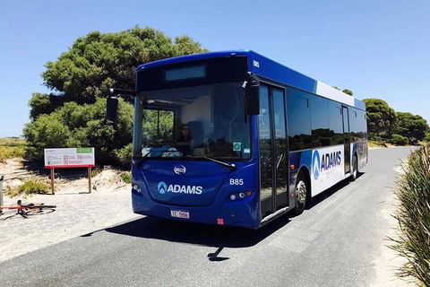 Rottnest Bayseeker Bus Tour From Hillarys Boat Harbour - Port Augusta Accommodation 0