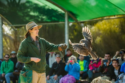Full Day Kangaroo Island Sip And See Tour Departing From Kangaroo Island - Port Augusta Accommodation 1