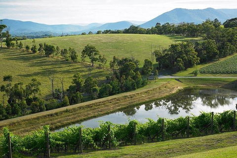 Yarra Valley Wine And Cider Tours By Classic Convertibles From Melbourne - Port Augusta Accommodation 1