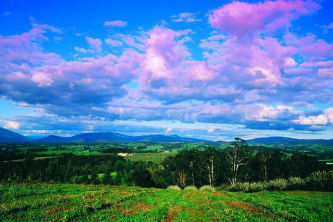 Yarra Valley Wine And Cider Tours By Classic Convertibles From Melbourne - Port Augusta Accommodation 3