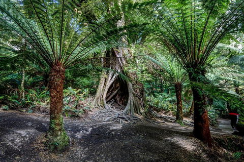 Adelaide To Melbourne 3-Day Trip Through Grampians And Great Ocean Road - Port Augusta Accommodation 0