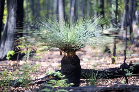 Adelaide To Melbourne 3-Day Trip Through Grampians And Great Ocean Road - Port Augusta Accommodation 4