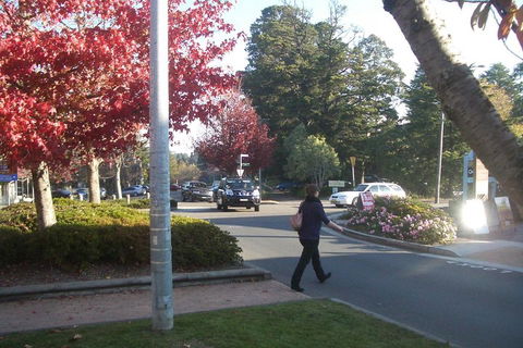 PRIVATE All-Day Blue Mountains Tour With Professional Guide For Up To 4 People - Port Augusta Accommodation 1