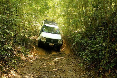 Barron Gorge And Kuranda National Park Half Day Rainforest And Waterfall 4WD Tour From Cairns - Port Augusta Accommodation 2