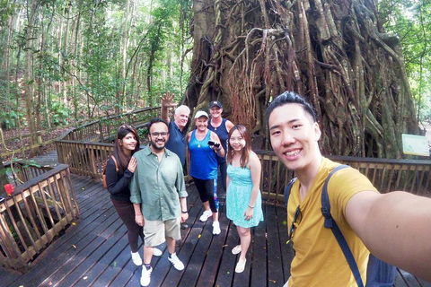 Barron Gorge And Kuranda National Park Half Day Rainforest And Waterfall 4WD Tour From Cairns - Port Augusta Accommodation 5