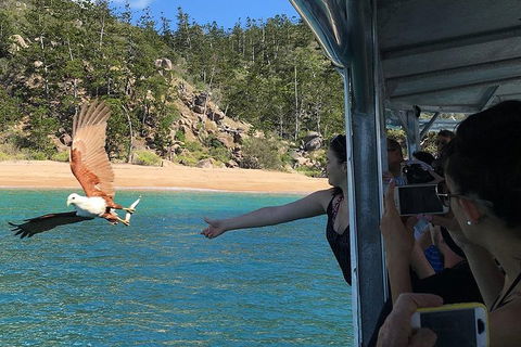 Aquascene Magnetic Island Discovery Tour - Port Augusta Accommodation 2