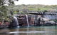 Royal National Park Tour - thumb 1