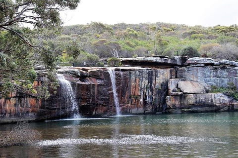 Royal National Park Tour - Port Augusta Accommodation 1