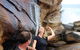 Royal National Park Tour - thumb 4