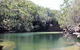 Royal National Park Tour - thumb 5