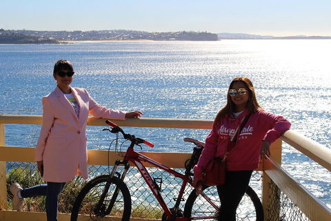 Half Day Manly Beach And More - Port Augusta Accommodation 4