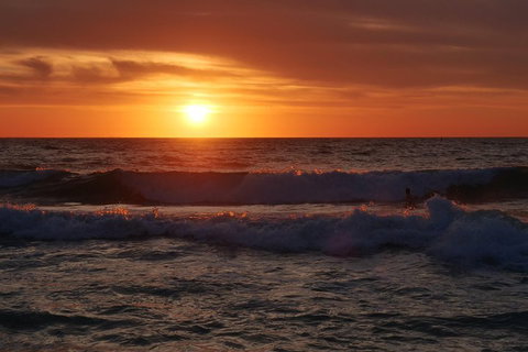 Australian Animals, Seascape And Sunset Photography Tour - Port Augusta Accommodation 5