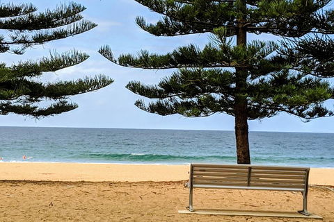 Manly & Sydney's Northern Beaches With 'Personalised Sydney Tours' - Port Augusta Accommodation 0