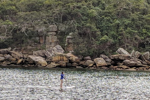 Manly & Sydney's Northern Beaches With 'Personalised Sydney Tours' - Port Augusta Accommodation 3