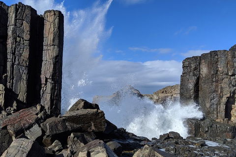 Erupting Blowholes And Ancient Rainforests With 'Personalised Sydney Tours' - Port Augusta Accommodation 0