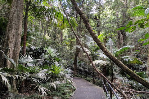 Erupting Blowholes And Ancient Rainforests With 'Personalised Sydney Tours' - Port Augusta Accommodation 2