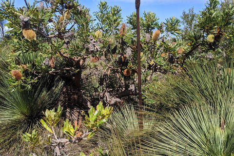 Australian Wildlife & Waterfalls Private Tour With 'Personalised Sydney Tours' - Port Augusta Accommodation 1