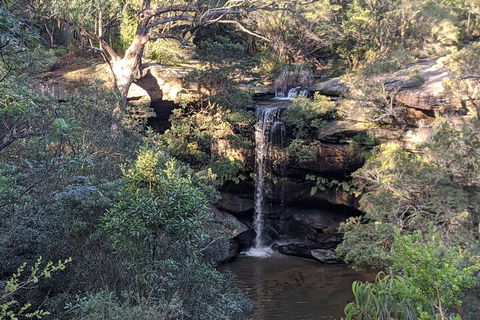 Australian Wildlife & Waterfalls Private Tour With 'Personalised Sydney Tours' - Port Augusta Accommodation 5