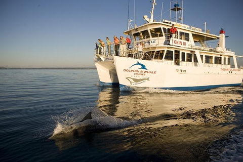 Jervis Bay Dolphin Watch Cruise - Port Augusta Accommodation 3