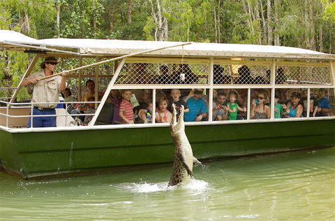 Hartley's Crocodile Adventure Half-Day Tour - Port Augusta Accommodation 0