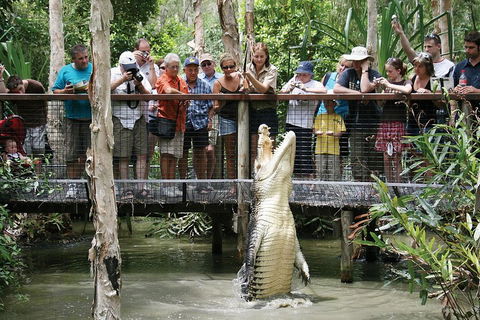 Hartley's Crocodile Adventure Half-Day Tour - Port Augusta Accommodation 1