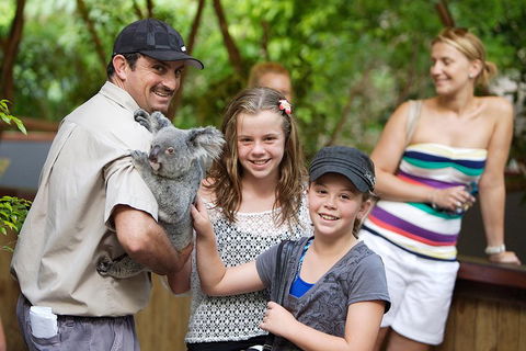 Hartley's Crocodile Adventure Half-Day Tour - Port Augusta Accommodation 3
